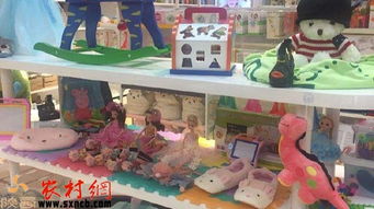 掘金鄉(xiāng)野新藍(lán)海 三大農(nóng)村創(chuàng)業(yè)項(xiàng)目，玩具技術(shù)開發(fā)與銷售引領(lǐng)風(fēng)潮